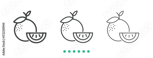 Orange icon. Thin line icon vector