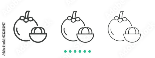 Mangosteen icon. Thin line icon vector