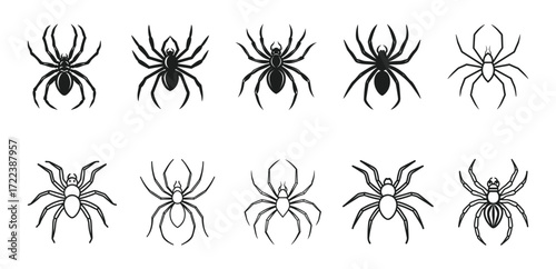Black spiders vector set for halloween, danger, insect, and creepy bug collection.