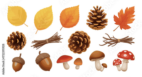 Illustration of autumn elements including leaves cones acorns and mushrooms
