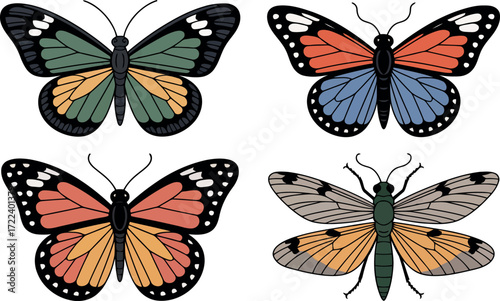 This image features a collection of four distinct and vibrantly colored butterflies and moths.
