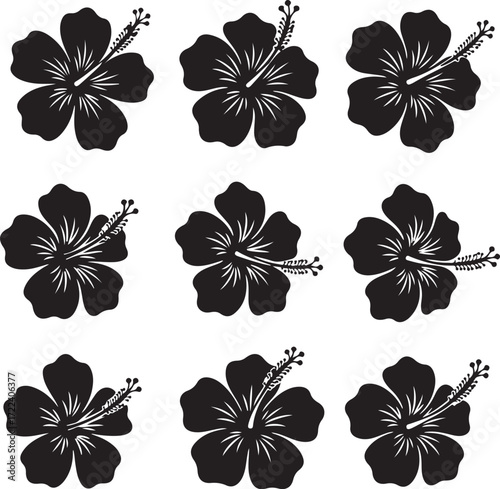 Hibiscus Pattern: A captivating pattern of meticulously arranged hibiscus blossoms, showcasing their intricate petals and iconic stamen, ready to bring an artistic touch to any creative project.