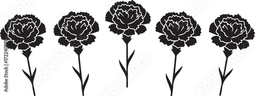 Floral Silhouette: A graceful arrangement of five elegant carnations in silhouette. Their intricate petals and slender stems are captured in a minimalist, high-contrast aesthetic.
