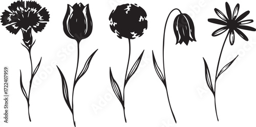 Floral Symphony in Monochrome: An elegant black and white artistic composition, showcasing a series of beautifully detailed flower silhouettes, each representing a unique blossom and botanical form.