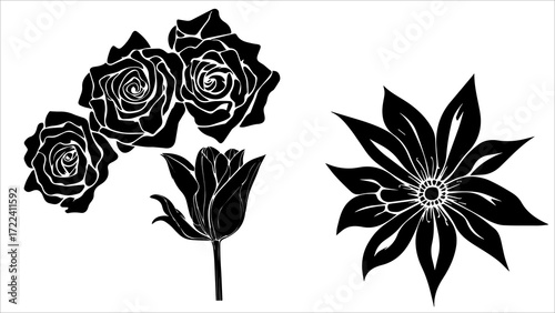 set of black and white flowers, Vector, Woman, Invitation, Decoration, Gift Wrap