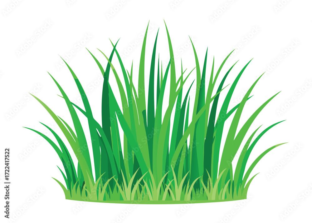 Fototapeta premium Green grass vector illustration for landscaping and nature themed graphic projects use