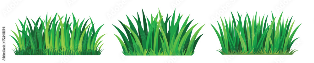 Fototapeta premium Green grass vector illustration for spring designs and nature themed creative projects 