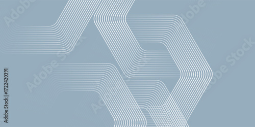 Abstract hexagon lines on gray background. Geometric stripe line art design modern. vector eps10