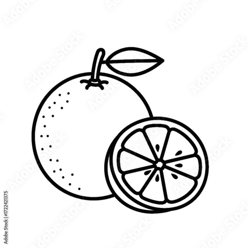 Orange Fruit Line Art Style Healthy Food Concept