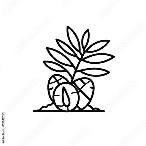 Lychee fruit with leaves minimalist line art tropical freshness