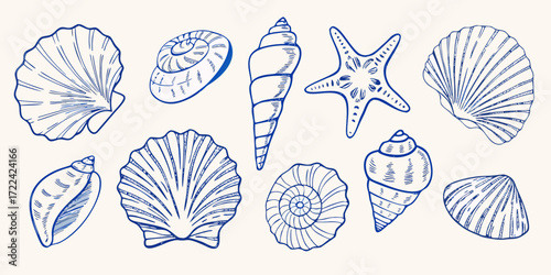 Collection of hand drawn blue line art seashells and starfish on a cream background