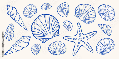 Collection of hand drawn blue line art seashells and starfish on a light background