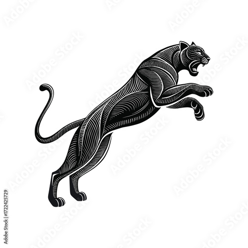 Engraving of a Jumping and Running Panther
