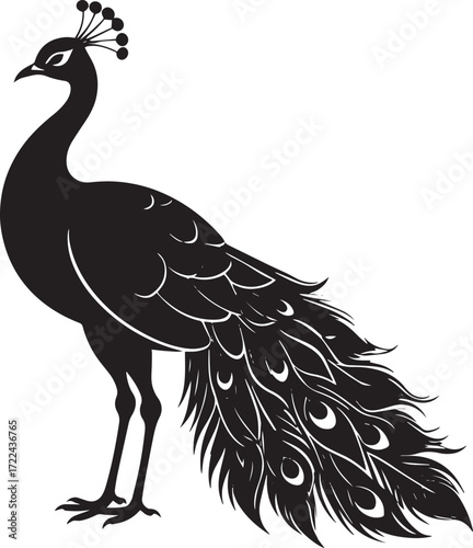  Elegant Peacock Silhouette Vector Illustration
