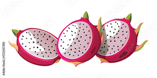 Dragon fruit vector illustration featuring tropical fruits for creative projects design
