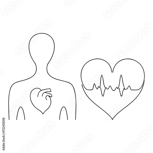 Human Heartbeat Health Cardiovascular System