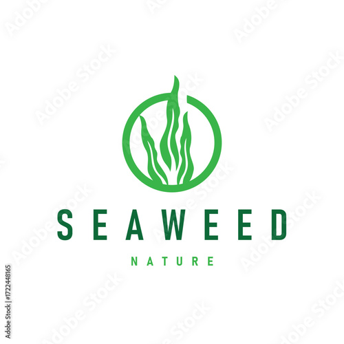 seaweed logo with a simple minimalist concept of ocean plant fish, design, symbol, illustration, template