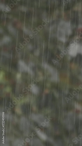 A Rainy Day with a Beautiful and Blurred Background of Nature, Creating a Dreamy Atmosphere