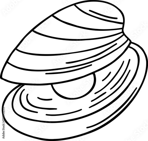 A black and white outline drawing of an open clam shell