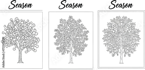 Three trees with different foliage representing seasonal changes in black and white artwork