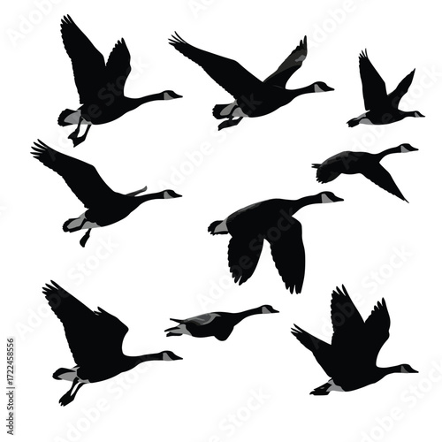 Set of black and white flying geese silhouettes in various formations isolated on white background