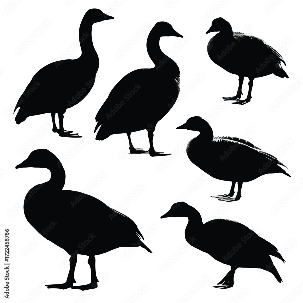 Obraz premium Collection of black and white goose silhouettes in flight and standing isolated on white background