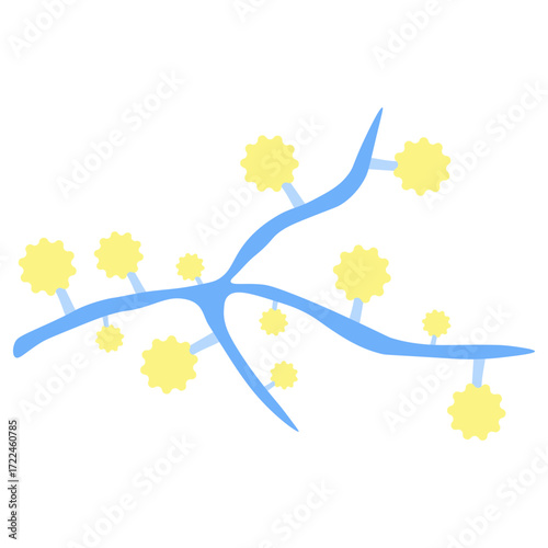 Histoplasma capsulatum