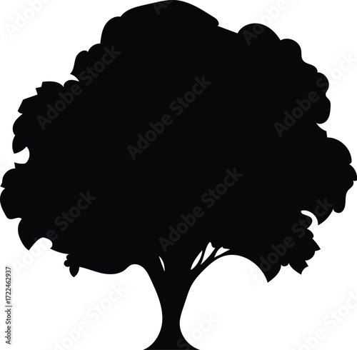 Silhouette of a large tree with a wide leafy canopy isolated on white background