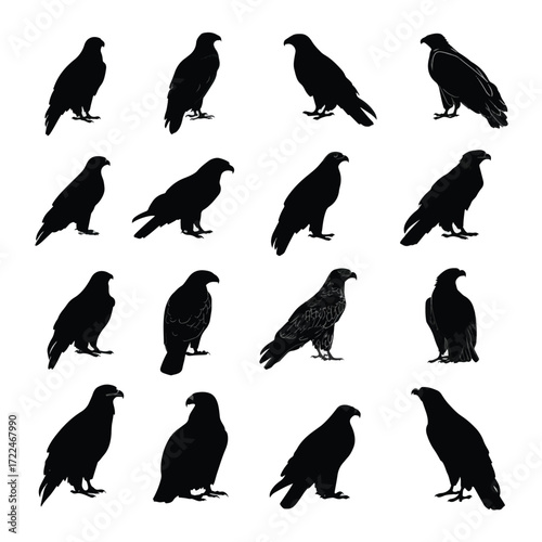 Set of golden eagle silhouettes in various poses isolated on white background