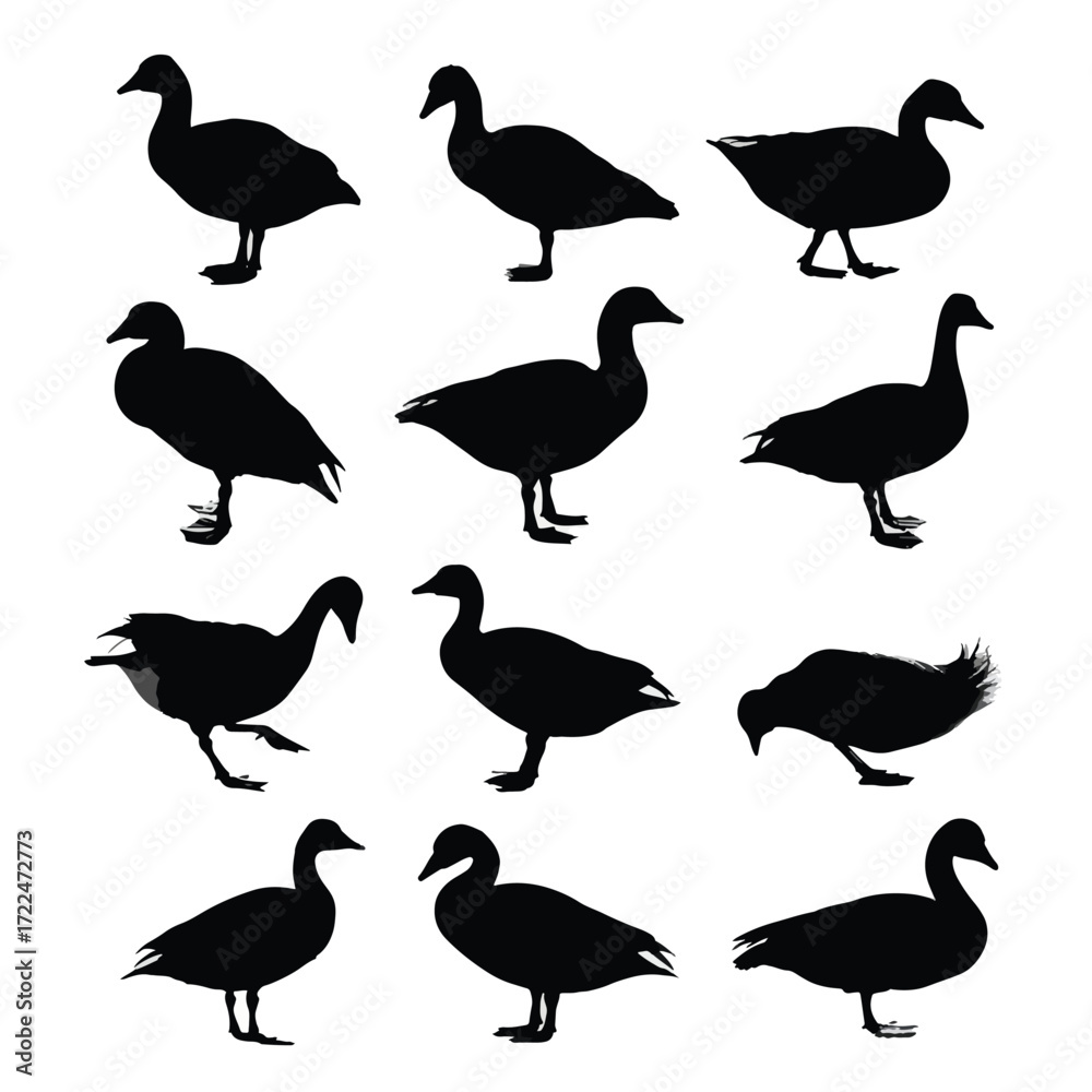 Obraz premium Collection of goose silhouettes in various poses isolated on white background