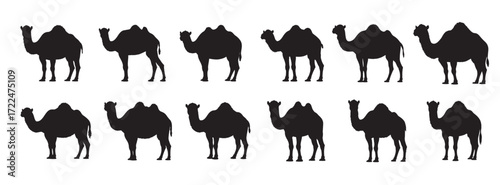 camels silhouette white background vector illustration