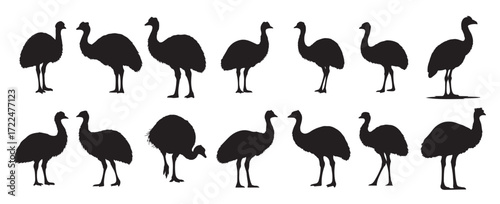 emu silhouette white background