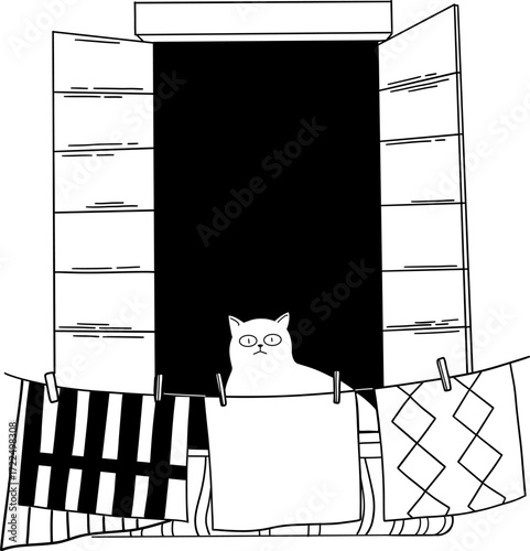 A cat sits in a window above laundry hanging on a line