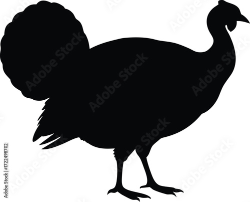 turkey thanksgiving farm icon vector, holiday bird symbol illustration
