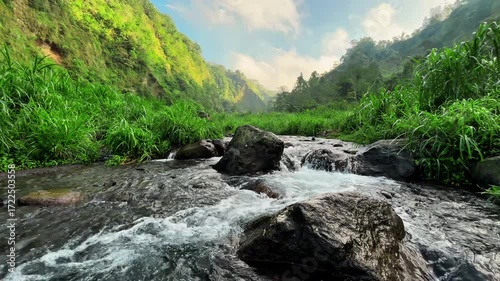 Mountain River Serenity: A clear mountain river rushes through a verdant valley, surrounded by lush greenery, under a bright sky, creating a serene and tranquil scene.
