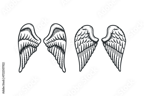 Pair of outlined angel wings against a white background. Vector hand drawn illustration