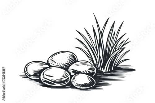 Group of stones with grass. Vector hand drawn illustration