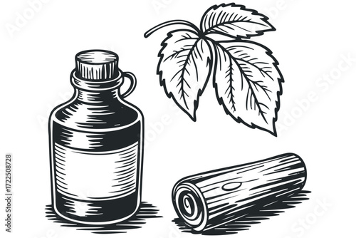 Wood essence vial and leaf drawing. Vector hand drawn illustration