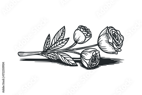 Three drawn roses with stems and leaves. Vector hand drawn illustration