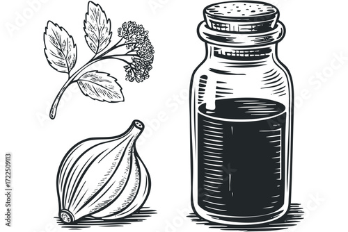 Black ink drawing of medicinal plant and tincture bottle. Vector hand drawn illustration
