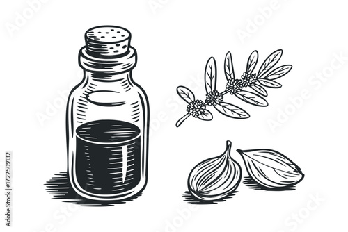 Bottle with liquid and botanical elements. Vector hand drawn illustration