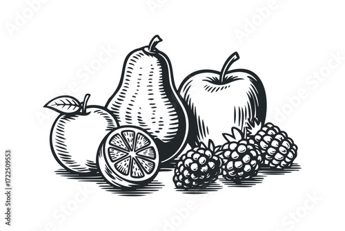 Vintage engraving of assorted fruits including apples, pear, lemon slice, and raspberries. Vector hand drawn illustration