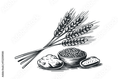 Wheat stalks with grain and bread loaf. Vector hand drawn illustration
