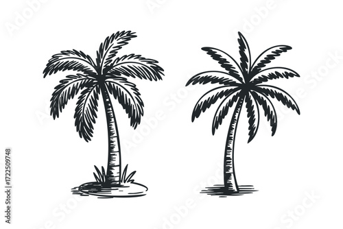Two Hand Drawn Palm Trees on White Background. Vector hand drawn illustration