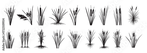 cattail silhouette white background