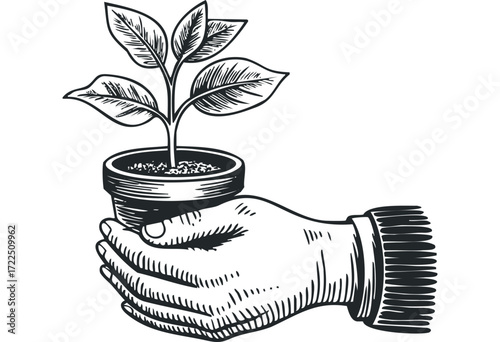 Hand nurturing a small plant in a pot. Vector hand drawn illustration