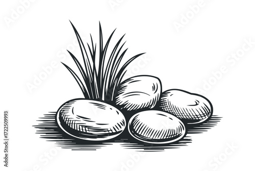 Black and White Sketch of Smooth Stones and Grass. Vector hand drawn illustration