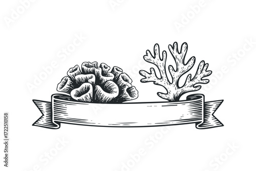 Coral Branch and Ocean Flora with Ribbon Frame. Vector hand drawn illustration