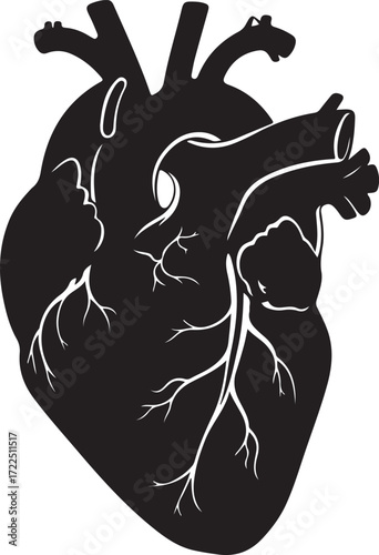 Anatomical Heart Vector Art  Black and White Human Heart