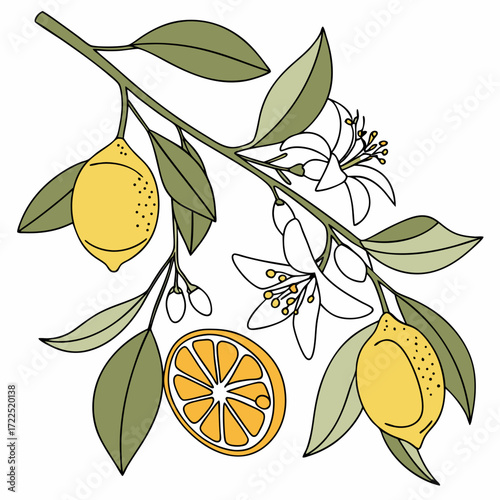 A vibrant illustration of a lemon branch adorned with ripe yellow lemons delicate white blossoms and a slice of citrus fruit perfect for summer and healthy eating themes